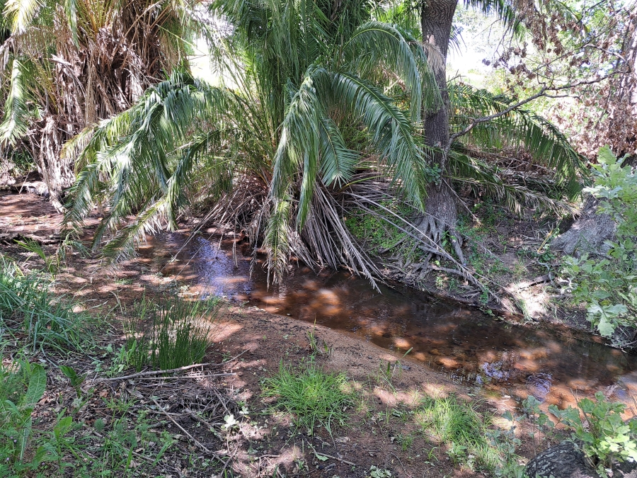 0 Bedroom Property for Sale in Stellenbosch Farms Western Cape